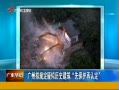 㶫糿 涨ʷȱ϶