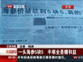 硷 һͷ55 ȫǺ
