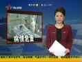 㶫糿 ڣȾH7N9л߲Σ