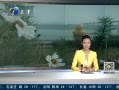 12㱨 Ѽ౱԰԰ ָ̫