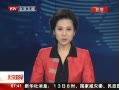 硷 2013ƶߴ ȫ
