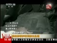 ֱ䡷 й 24 ڹ˾