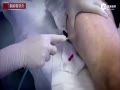 ӢӺʲôζ Լʵ