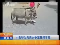 7š Сë¿ΪŮ