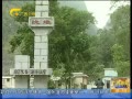 š ֽ¼龰