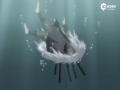 ƵӰߡѪӳ Ԥǧ