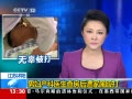 ֱ䡷 иҽ鷿Ź