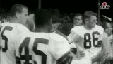 Ƶ-NFLƬ ǰ˹Ĺ