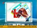 㶫糿 V5հ˳뱻