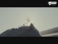 2017F1ƬNo More One Horse Race