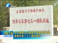 ԭ籨 ʦŶ֤ܺڹ731ַ