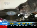ʱѶ DJСèһ