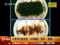 30֡ ѧʵ飺WIFI䶾ֲ