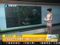 簲 Իı Ӣֲһ˫