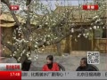 ߷塷 ӸׯĶ滨ʢ