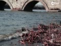 й365-¬