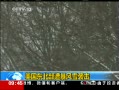 ֱ䡷 ⱩѩϮ