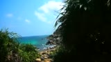 Ƶ-ڵ΢ӰƷ֮á