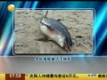 һʱ 20140516 ̰Ժ౻