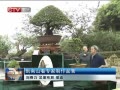 CQTVš ɽר辰