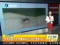 簲 ʵ