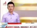 ӽ硷 Ʊ17ͻ869 ʷ¸