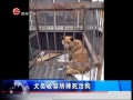  ȮˤС