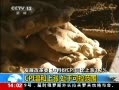 ֱ䡷 չĸί 10·CPIͬ3.2%