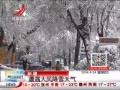 ӽ硷 ½罵ѩ