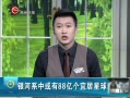  ϵл88ڸ˾