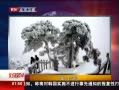 硷 ɽڡ