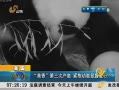 簲ɽ β ¶