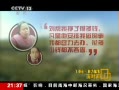 桷 ģȨO