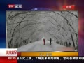 硷 ڡ