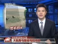 š ҰǨ