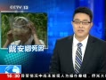 ֱ䡷 Ӣյ