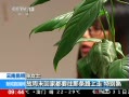 ֱ䡷 ͣʱƼ