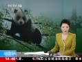 ֱ䡷 Ĵ Ұƿ