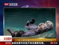 硷 ˮ̡ˮǣߴ