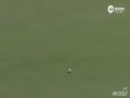Ƶ-LPGA͹Ӣּ 61ȴǰ