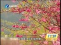 簲 ʱ