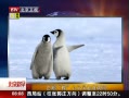硷 С·