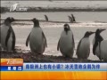 7š ϼҲС ѩΪ