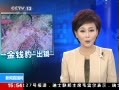 ֱ䡷 ϽĵҰǮӰ ǮȺû ʮֺ