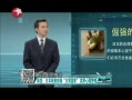 ʱա ¼᣺ձҰ辯