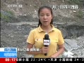 ֱ䡷 Ĵï 鷴 S302ï·ദ