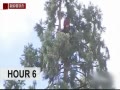 ͼӵ24׸  Ϯ