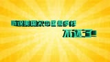 ƵѻǮƬ ǮЩ¶
