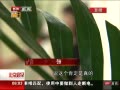 硷  ½װè