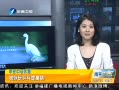 簲 è򼯽
